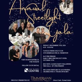 Streetlight Gala Ticket - Single Ticket item