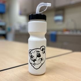 Roscoe Water Bottle with Straw item