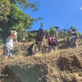 Colis alimentaire item