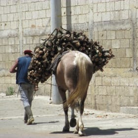 Cuisinière à bois - 1/2 item
