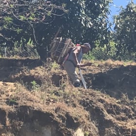 Cuisinière à bois item