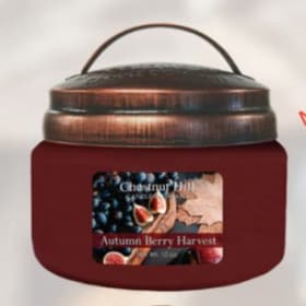 Autumn Berry Harvest Jar Candle item