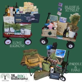 LBW 5 for $20 Ticket Bundle item