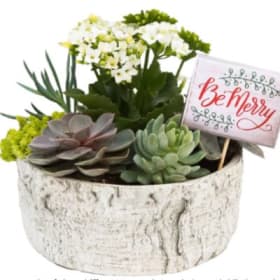 Succulent Bowl item