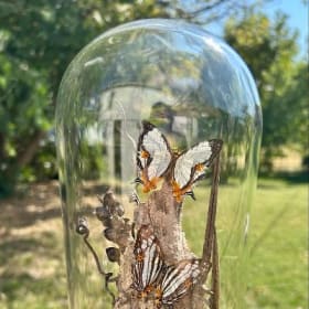 Life and Death Designs By Julia item