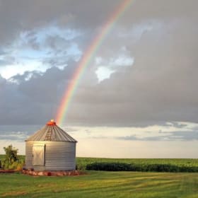 P&E Photo Contest Submission item