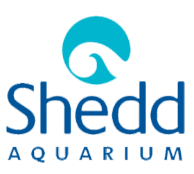 🐠 The Shedd Aquarium Field Trip item