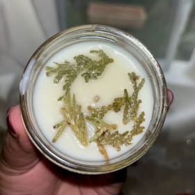 20- Indigenized Soy Candle item