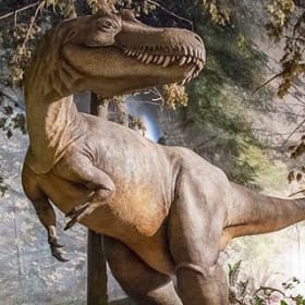 9. Dinosaur & Farm Fun Pack: Adventures Await! item