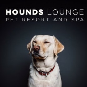 Hounds Lounge Basket & Gift Card item