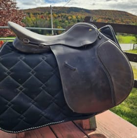 Dressage saddle item