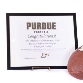 Boliermaker Blitz item