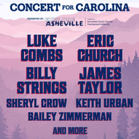 Concert for Carolina Pkg 4: Two Tickets, Vault Access, Hotel item