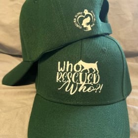 FHDS Brand Hats item