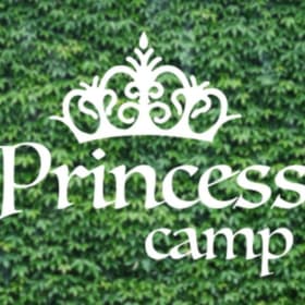 Princess Camp item
