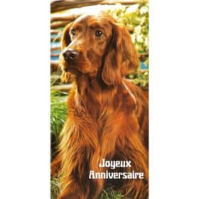 Carte de souhait vintage "Wouf!" (044) item