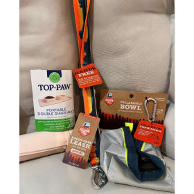 Adventure-Ready Dog Travel Set item