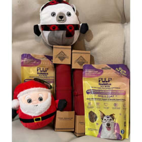 Travel Buddies Pet Set item