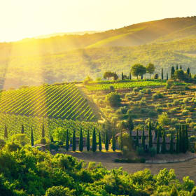 Taste of Tuscany item