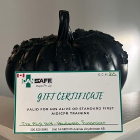 CanSafe - Free First Aid 1 or 2 Day Course - $250 Value item