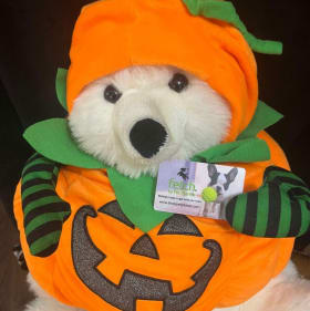 Command Fishing & Pipe Recovery - $150 Pet Planet Gift Card item