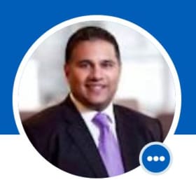 61) Holiday OVO show from Cirque du Soleil item