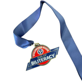 Retired Version of Award Medal (for HS recipients only) item