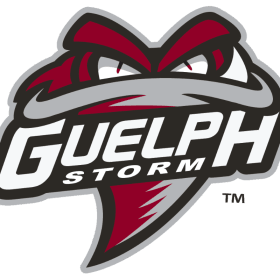 Promotional ticket code item