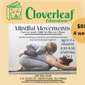 Mindful Movements item