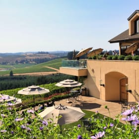 Willamette Valley Vineyards VIP Experience for 8, OR item