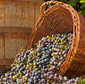 Sipping Napa Valley at Home The Setting Wine,Private Virtual item