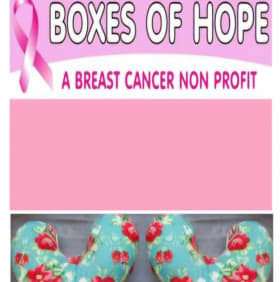 Option 2 Shipping Fee item