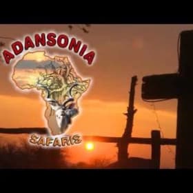 Adansonia African Safari Hunt item