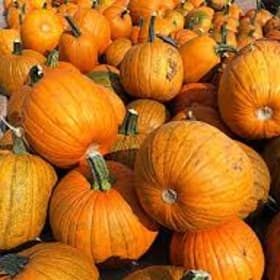 Large Orange Pumpkin item