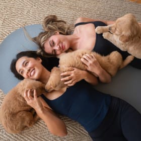Puppy Yoga and Bubbly item