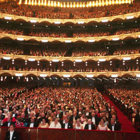 Night at the New York Opera- an unforgettable experience item
