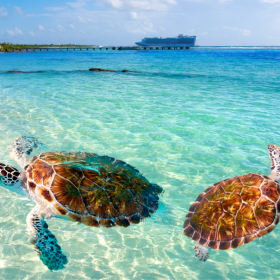 Mexico Caribbean Resort All-inclusive Resort for 5 nights item