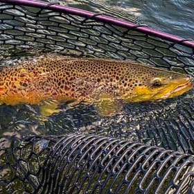 Montana Fly Fishing- Bucket list anyone?! item