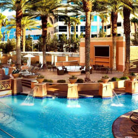 Las Vegas Lights- and much more - kids welcome! item