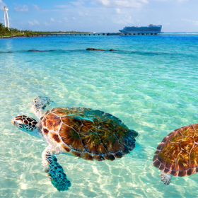 Mexico Caribbean Resort All-inclusive Resort for 5 nights item