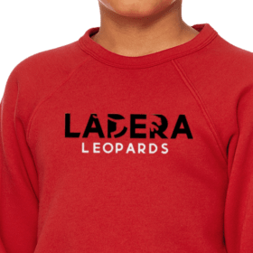 YOUTH RED SWEATSHIRT [PRE-ORDER] item