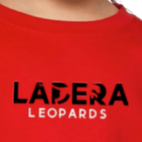 TODDLER RED SWEATSHIRT [PRE-ORDER] item