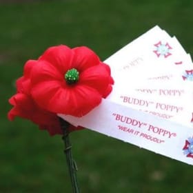 Traditional Buddy Poppy (500) item