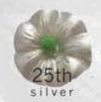 Silver Buddy Poppy (1000) item
