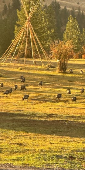 Hog Heaven Ranch getaway item