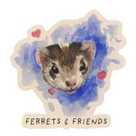 Sanctuary Supporter T-shirt item