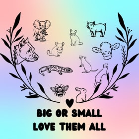 Love - Big Or Small Tshirt item