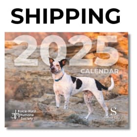 2025 Calendar (Shipped) item