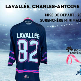 LAVALLÉE, CHARLES-ANTOINE #82 item