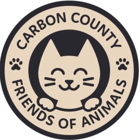 Senior or Special Needs Cat Adoption item